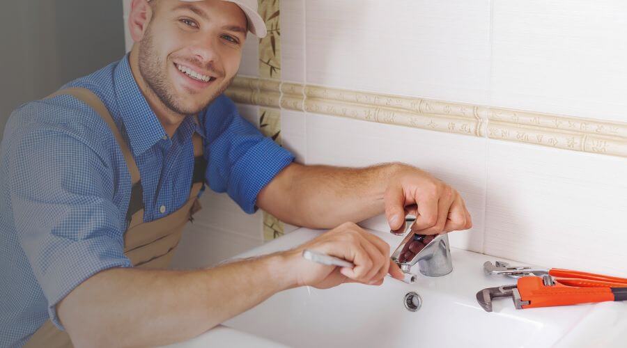 Professional Leak Detection Services services in Frontenac, MN